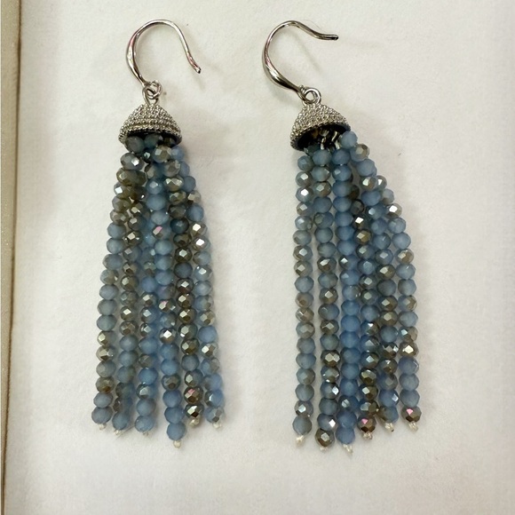 Blue and Silver Tassel Earrings with Crystal Beads - Picture 1 of 2